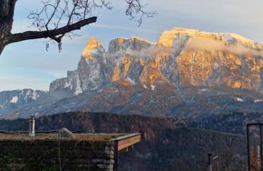 Steidacherhof - Foto 41