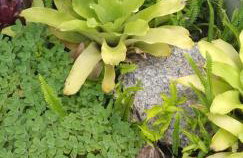 Casa Natturvibe - Praia do Rosa - Foto 29