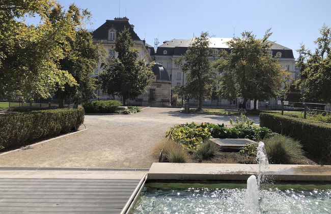 Charmant Zola - Photo 8