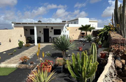 Mardelava - Photo 34