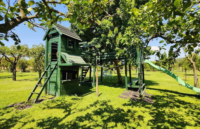Casale Della Pergola With Cottage Sugarcane Pool - Foto 8