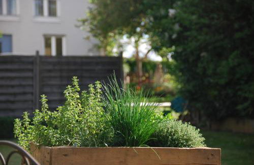 Gartenhaus am Weinberg - Foto 33