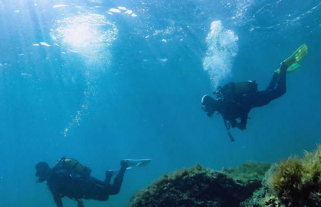 Mobilhome Villa Prestige - Foto 29