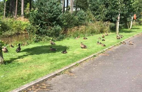 The Hideaway - Foto 25