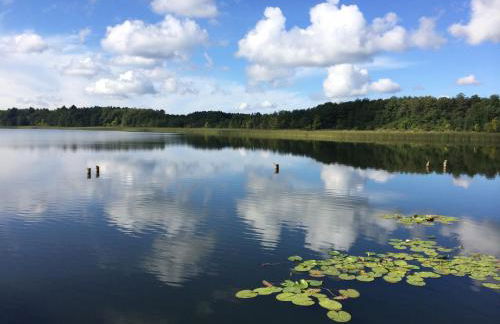 Nachtigall - Foto 34