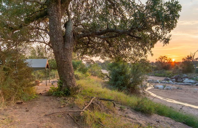 Kruger Untamed - Tshokwane River Camp - Photo 11