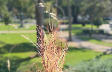 Jardim de Cascais - Foto 6