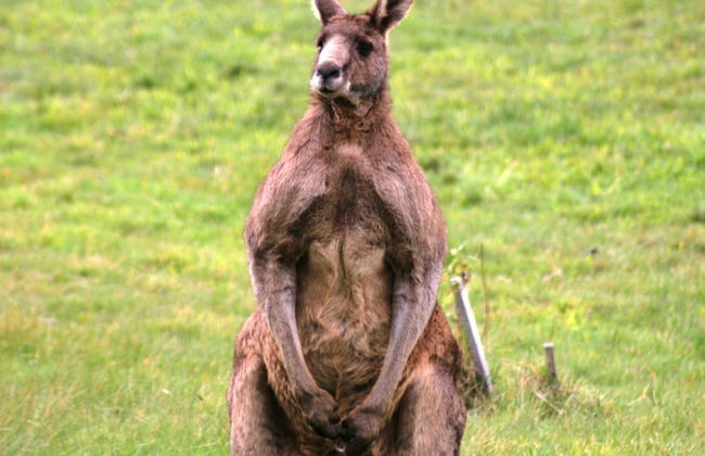 The Barn at Charlottes Hill - Photo 12