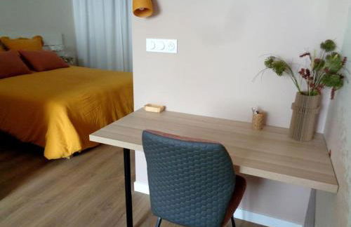 Appartement Hestia F1 bis + terrasse hyper centre - Foto 12