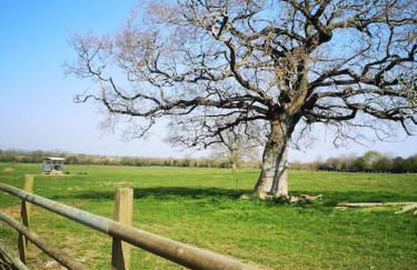 Gîte spacieux et chaleureux - Foto 10