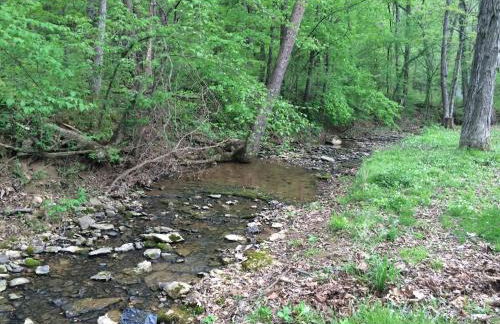 Brenda Lee History 2BR Villa Pool Hot Tub - Photo 67