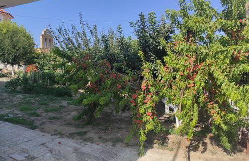 Thanos House - Σπίτι στην εξοχή - Foto 4