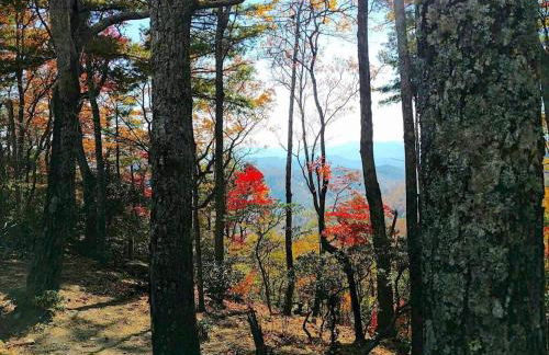 Elkhorn Rustic Blowing Rock Cabin Amazing Views - Foto 25