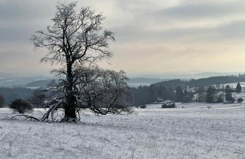 Oaktree-Cottage - Foto 46