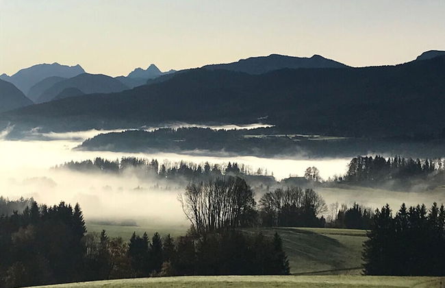 Bergwiesen - Studio House - Foto 6