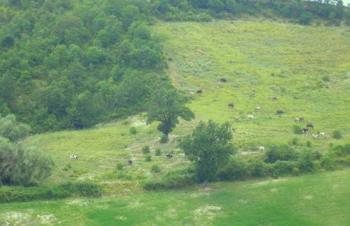 Agriturismo Cà Ferro - Foto 25