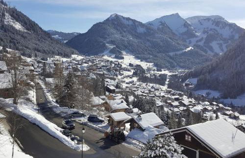 Charmant 3 pièces à Châtel avec balcon, proche pistes et navettes, pour 6 personnes - FR-1-676-62 - Foto 9