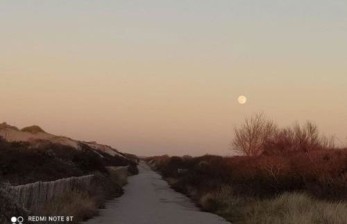La Baigneuse maison avec jardinet et parking privé, à 200 m plage - Foto 65