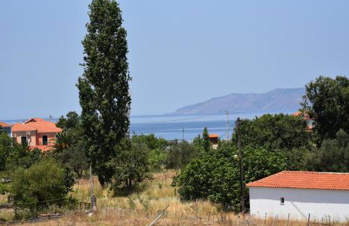 Shining Star Petra - Foto 55