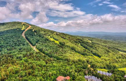 Renovated Ski-InandSki-Out Peru Condo at Bromley Mtn - Foto 28