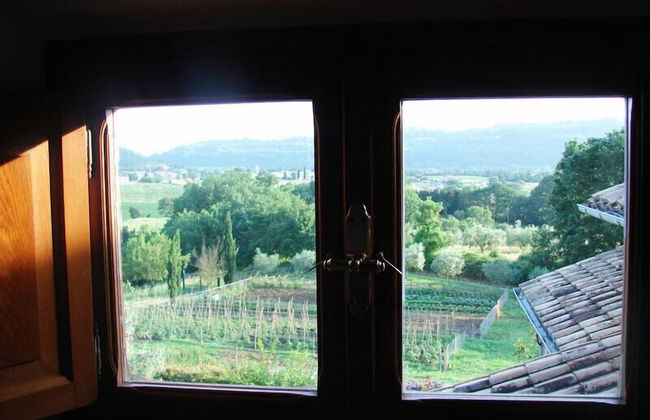 Agriturismo Terrasabina - Foto 17