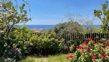 Appartamento Lavigna - Foto 3, Garden