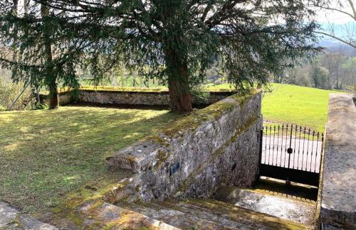 Escuelas de collía A AT-1537-AS - Photo 13