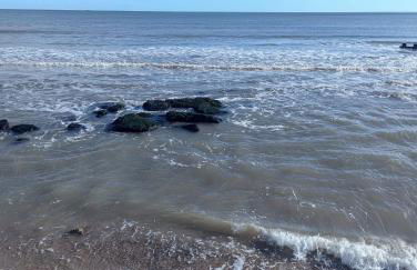 SWANAGE WELL PRESENTED 2 BEDROOM APARTMENT CLOSE to BEACH - Photo 21