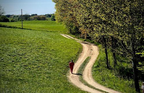 Żurawi klangor - dom z sauną i jacuzzi - Foto 42