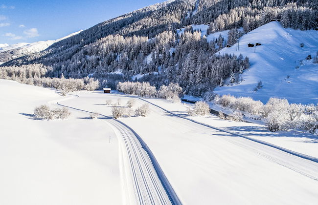 Aragon P36 - Foto 73