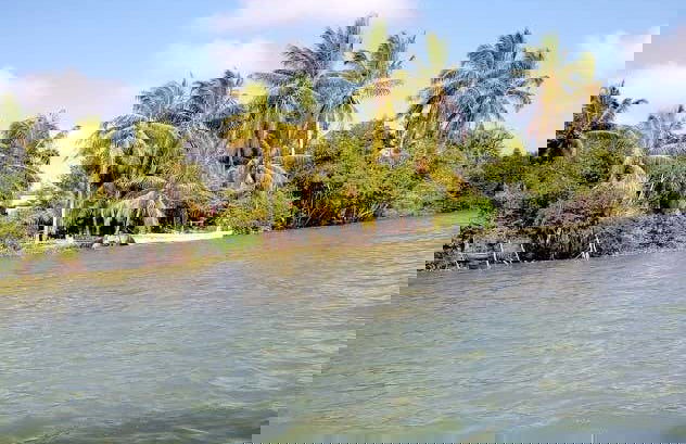 Paseo en barco privado por los Pantanos de Centla - Foto 5