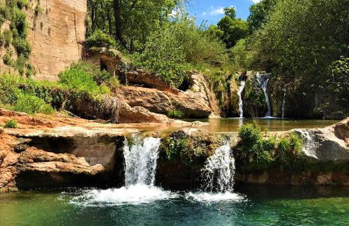 El Racó de les Grases - Foto 17