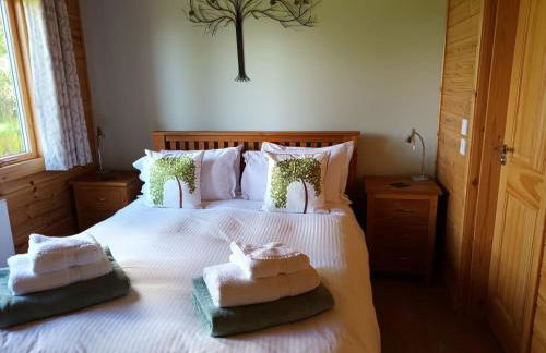 Fern Lodge - Luxury Lodge with steamroom in Perthshire - Photo 16