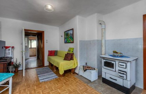 Gorgeous Home In Ravna Gora With Wifi - Foto 11