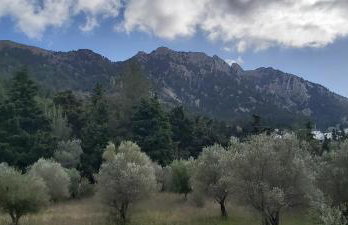Traditional house in Asfendiou - Foto 20