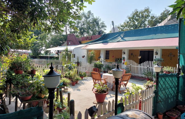 Koko's Farm - Foto 15