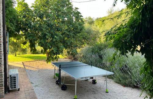 Farmhouse in Umbria - Photo 42