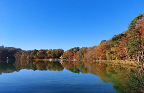 The Old Gables - Foto 29