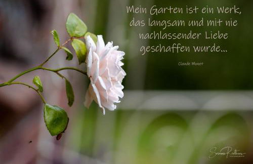 Nordsee-Domizil - Foto 19