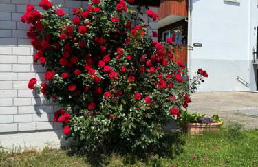 Haus Waldeck - Foto 53