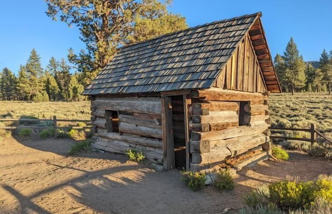 Sugar Bear Retreat #2319 - Photo 22