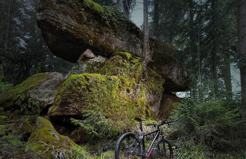 Sagenhafter Ausblick - Foto 33