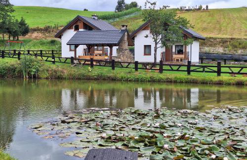 Domki Nad Liliowym Stawem - Photo 8