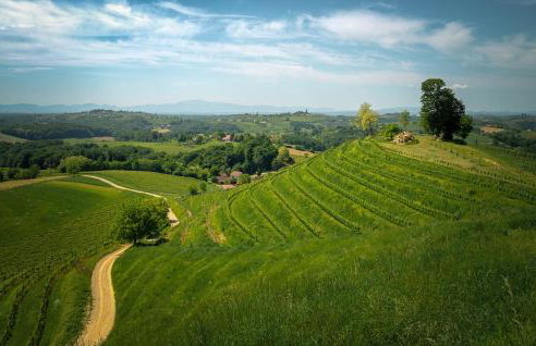 Kuća za odmor Hren - Foto 22