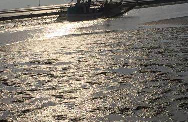 Nordseeperle Husum - Foto 39