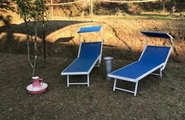 Serenità nella Natura - Foto 10