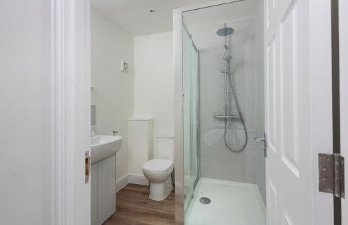 Bewick Swan - Ukc2111 - Photo 10