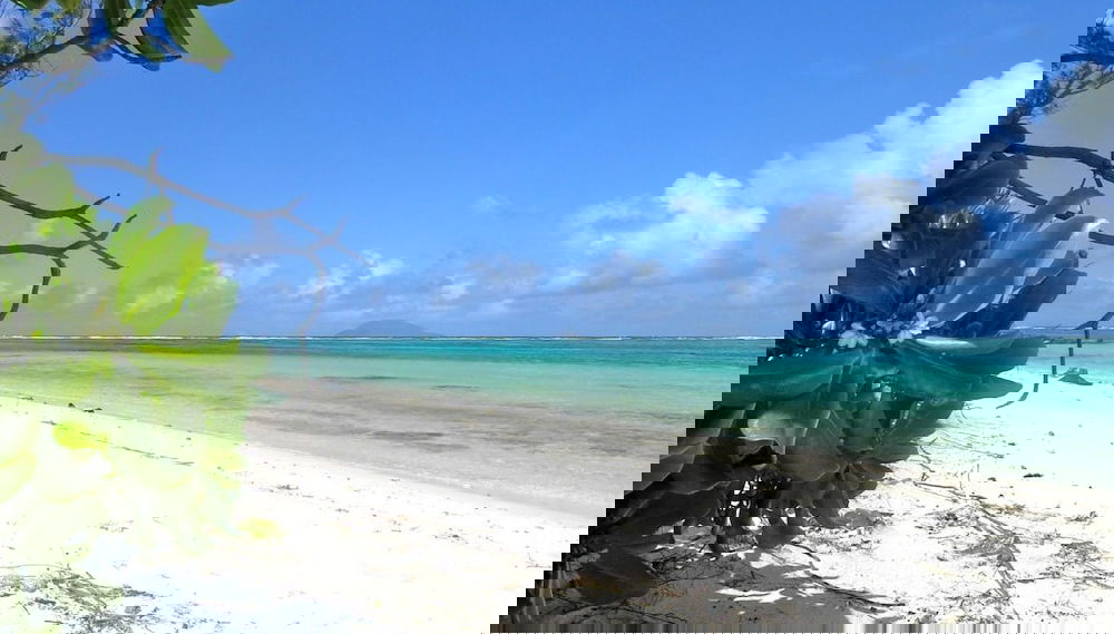 DORADE - Foto 1, Imagen principal