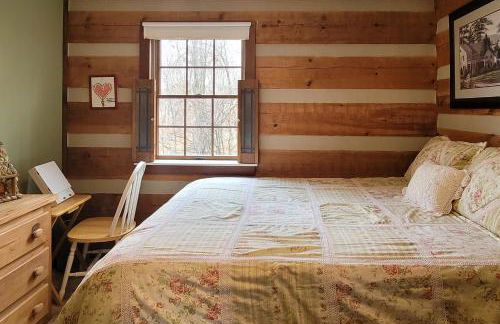 Scenic Lakefront Cabin Dock Water Activities Games - Foto 27