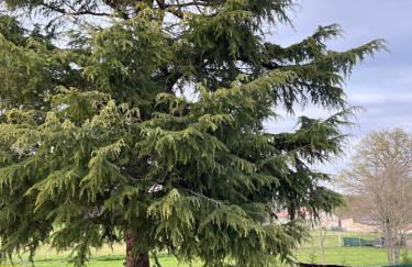 Les Cocons d AleXan Le studio balnéo aromathérapie - Foto 24